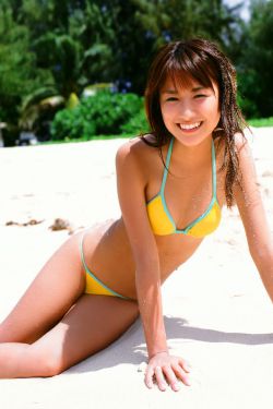 电视剧花木兰传奇